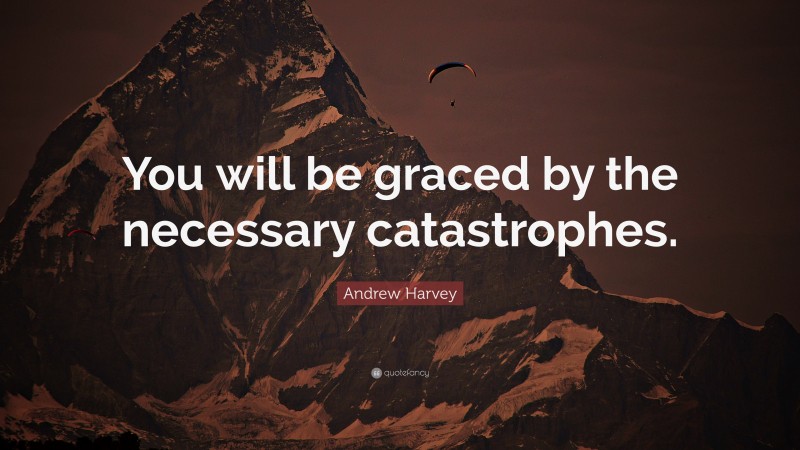 Andrew Harvey Quote: “You will be graced by the necessary catastrophes.”