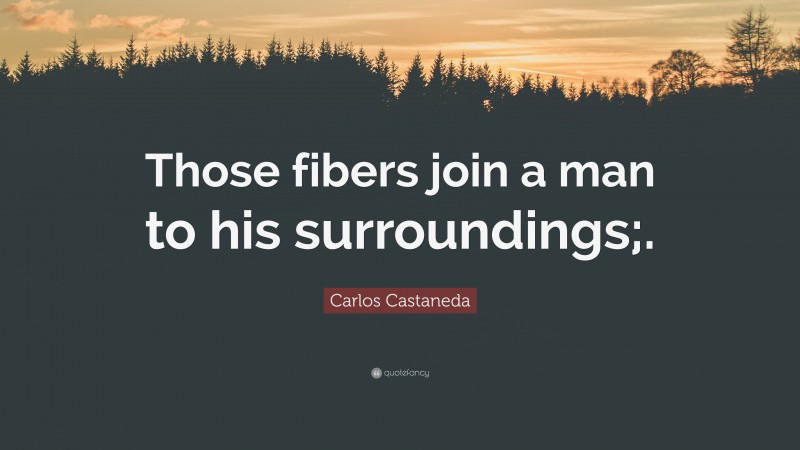 Carlos Castaneda Quote: “Those fibers join a man to his surroundings;.”