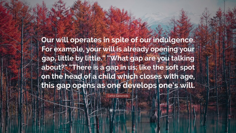 Carlos Castaneda Quote: “Our will operates in spite of our indulgence. For example, your will is already opening your gap, little by little.” “What gap are you talking about?” “There is a gap in us; like the soft spot on the head of a child which closes with age, this gap opens as one develops one’s will.”