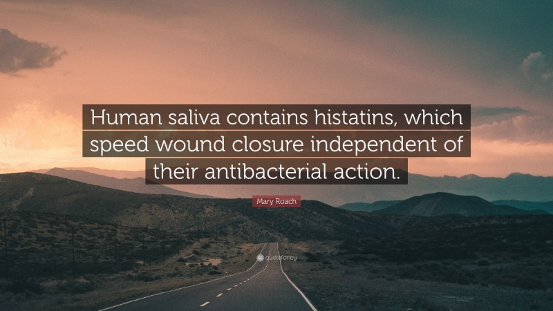 Mary Roach Quote: “Human saliva contains histatins, which speed wound closure independent of their antibacterial action.”