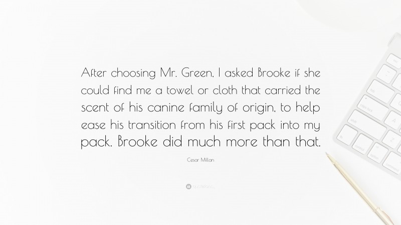 Cesar Millan Quote: “After choosing Mr. Green, I asked Brooke if she could find me a towel or cloth that carried the scent of his canine family of origin, to help ease his transition from his first pack into my pack. Brooke did much more than that.”