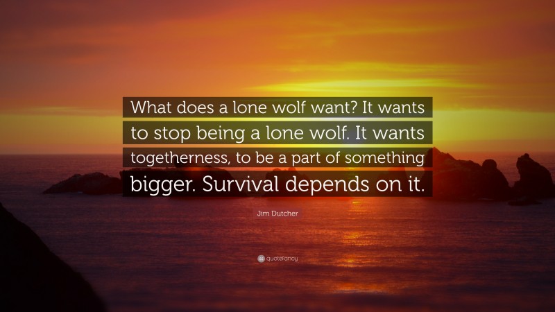 Jim Dutcher Quote: “What does a lone wolf want? It wants to stop being a lone wolf. It wants togetherness, to be a part of something bigger. Survival depends on it.”