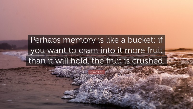 Primo Levi Quote: “Perhaps memory is like a bucket; if you want to cram into it more fruit than it will hold, the fruit is crushed.”