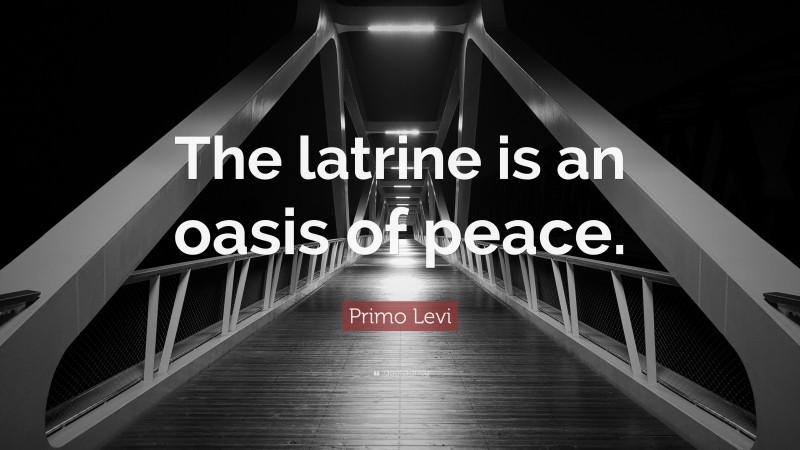 Primo Levi Quote: “The latrine is an oasis of peace.”