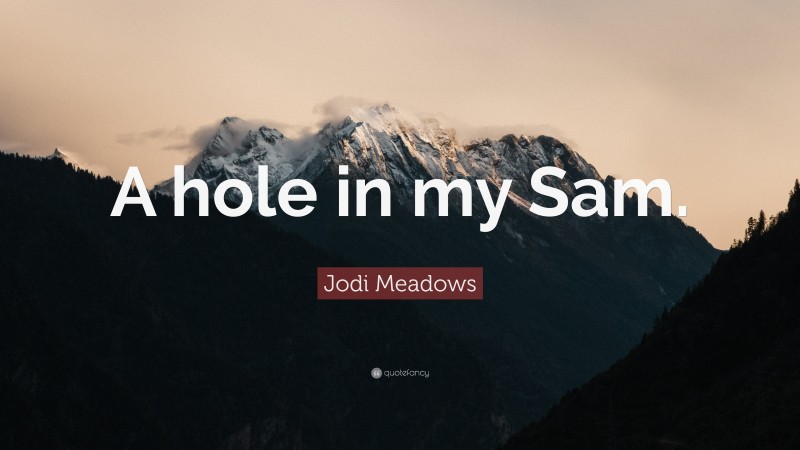 Jodi Meadows Quote: “A hole in my Sam.”