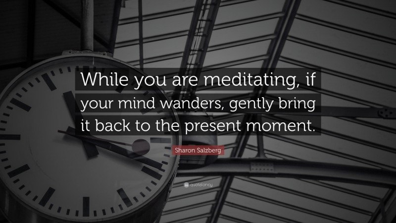 Sharon Salzberg Quote: “While you are meditating, if your mind wanders, gently bring it back to the present moment.”
