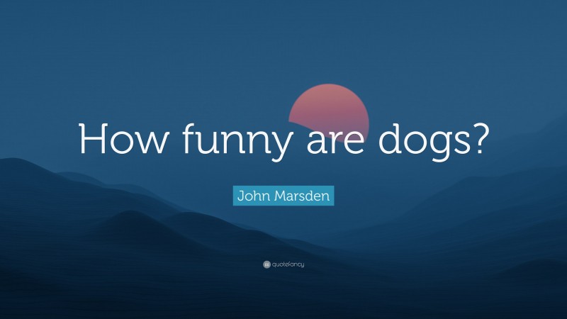 John Marsden Quote: “How funny are dogs?”
