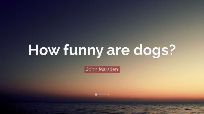 John Marsden Quote: “How funny are dogs?”