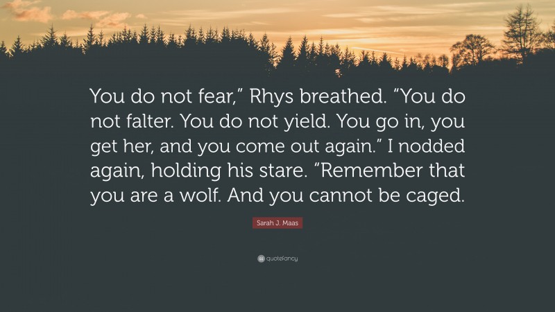 Sarah J. Maas Quote: “You do not fear,” Rhys breathed. “You do not falter. You do not yield. You go in, you get her, and you come out again.” I nodded again, holding his stare. “Remember that you are a wolf. And you cannot be caged.”