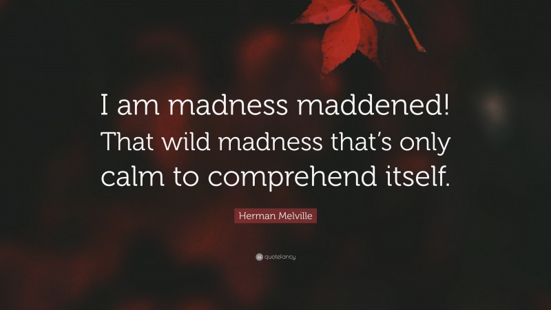 Herman Melville Quote: “I am madness maddened! That wild madness that’s only calm to comprehend itself.”