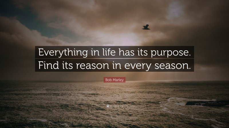 Bob Marley Quote: “Everything in life has its purpose. Find its reason in every season.”