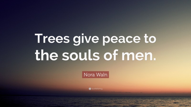 Nora Waln Quote: “Trees give peace to the souls of men.”