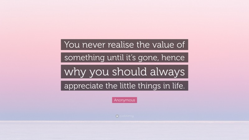 Anonymous Quote: “You never realise the value of something until it’s gone, hence why you should always appreciate the little things in life.”