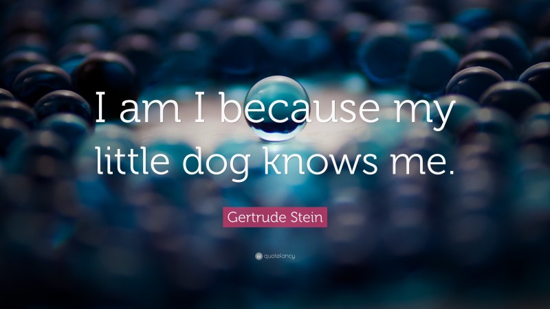 Gertrude Stein Quote: “I am I because my little dog knows me.”