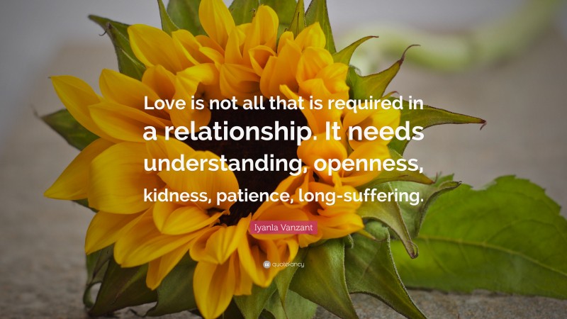 Iyanla Vanzant Quote: “Love is not all that is required in a relationship. It needs understanding, openness, kidness, patience, long-suffering.”