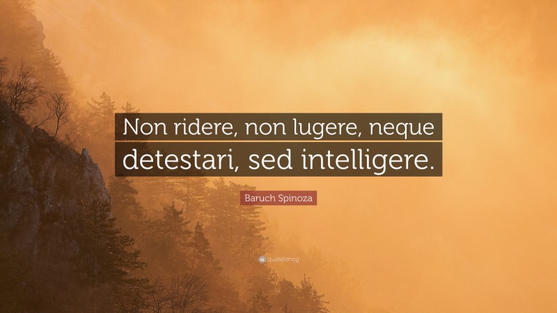 Baruch Spinoza Quote: “Non ridere, non lugere, neque detestari, sed intelligere.”