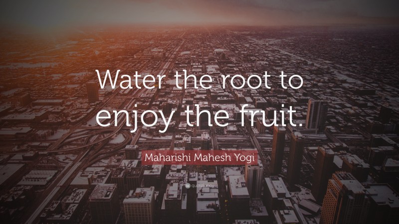 Maharishi Mahesh Yogi Quote: “Water the root to enjoy the fruit.”