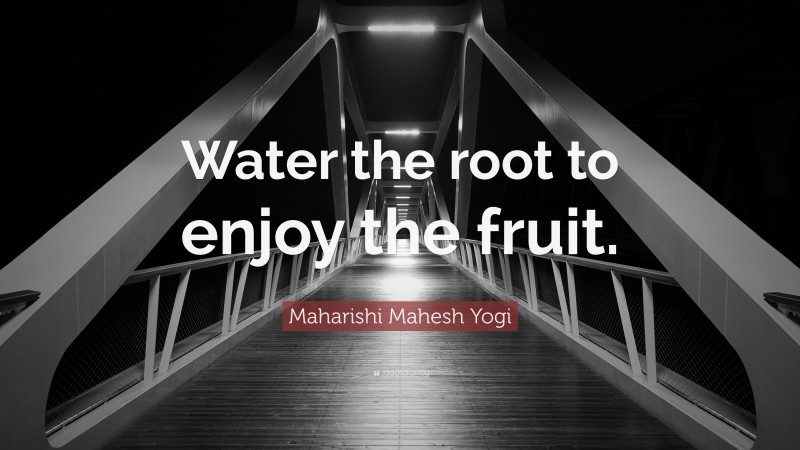 Maharishi Mahesh Yogi Quote: “Water the root to enjoy the fruit.”