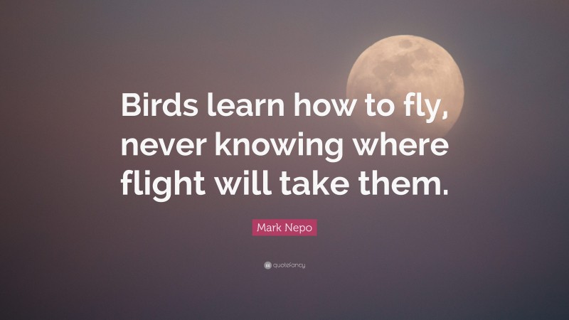 Mark Nepo Quote: “Birds learn how to fly, never knowing where flight will take them.”