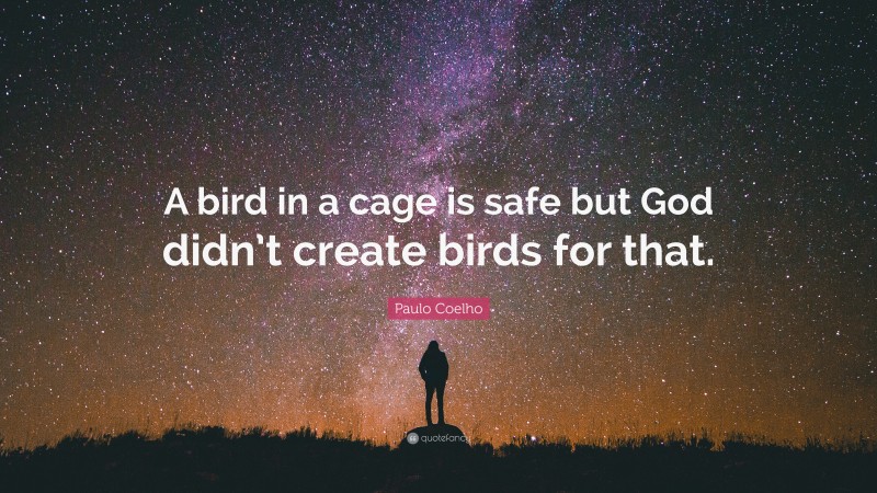 Paulo Coelho Quote: “A bird in a cage is safe but God didn’t create birds for that.”