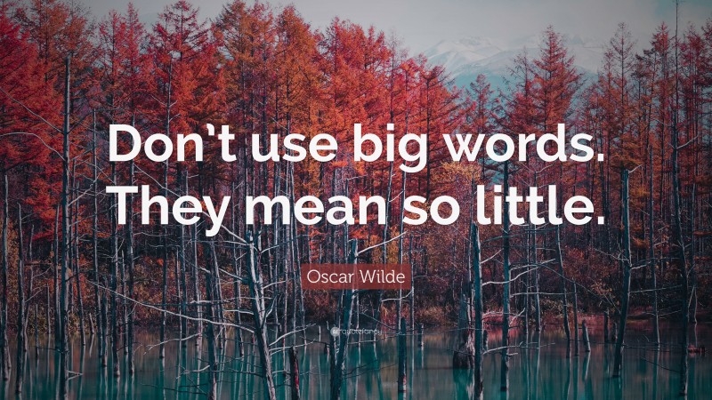 Oscar Wilde Quote: “Don’t use big words. They mean so little.”