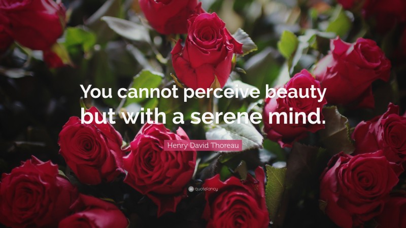 Henry David Thoreau Quote: “You cannot perceive beauty but with a serene mind.”