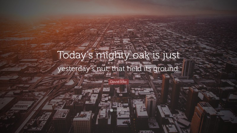 David Icke Quote: “Today’s mighty oak is just yesterday’s nut, that held its ground.”