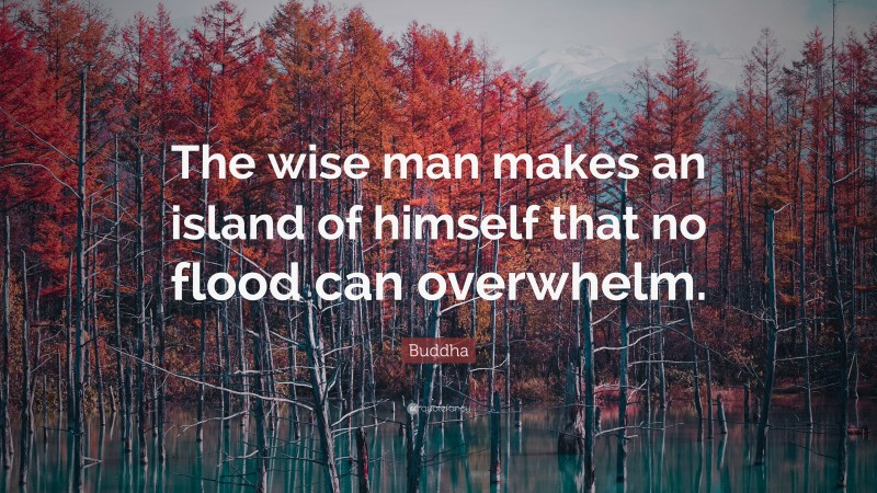 Buddha Quote: “The wise man makes an island of himself that no flood can overwhelm.”