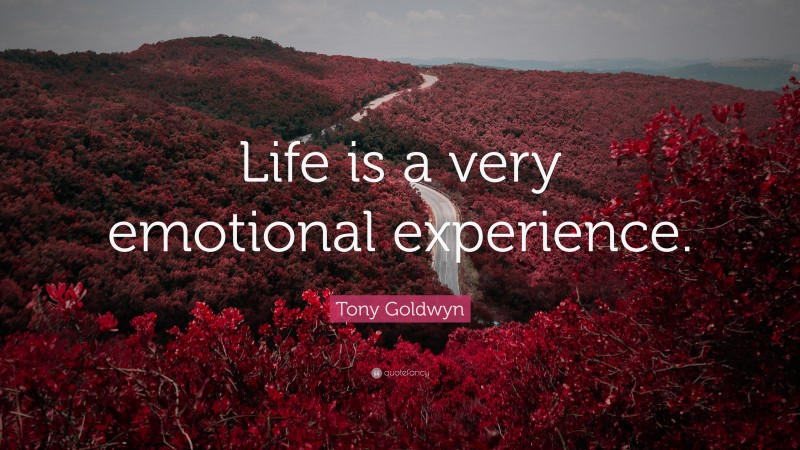 Tony Goldwyn Quote: “Life is a very emotional experience.”