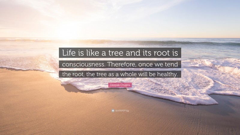 Deepak Chopra Quote: “Life is like a tree and its root is consciousness. Therefore, once we tend the root, the tree as a whole will be healthy.”