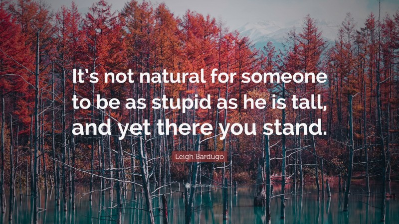 Leigh Bardugo Quote: “It’s not natural for someone to be as stupid as he is tall, and yet there you stand.”