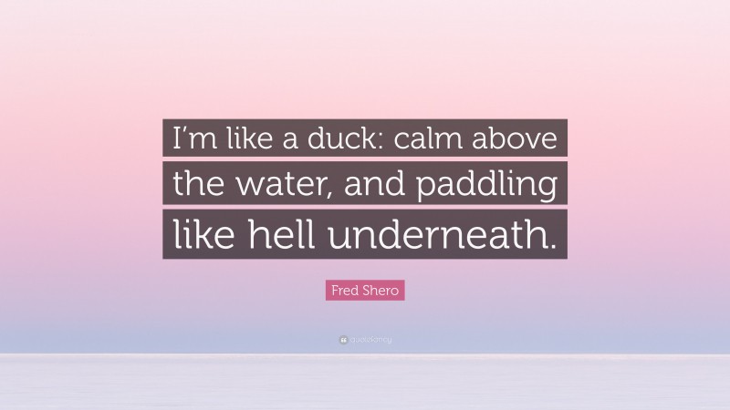 Fred Shero Quote: “I’m like a duck: calm above the water, and paddling like hell underneath.”