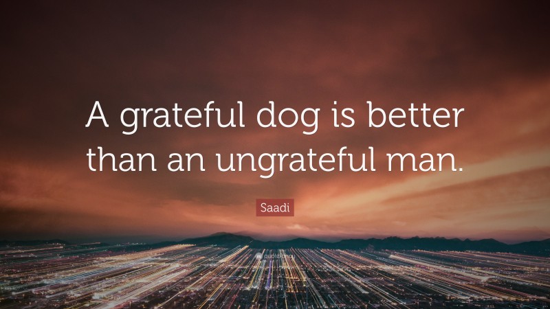 Saadi Quote: “A grateful dog is better than an ungrateful man.”