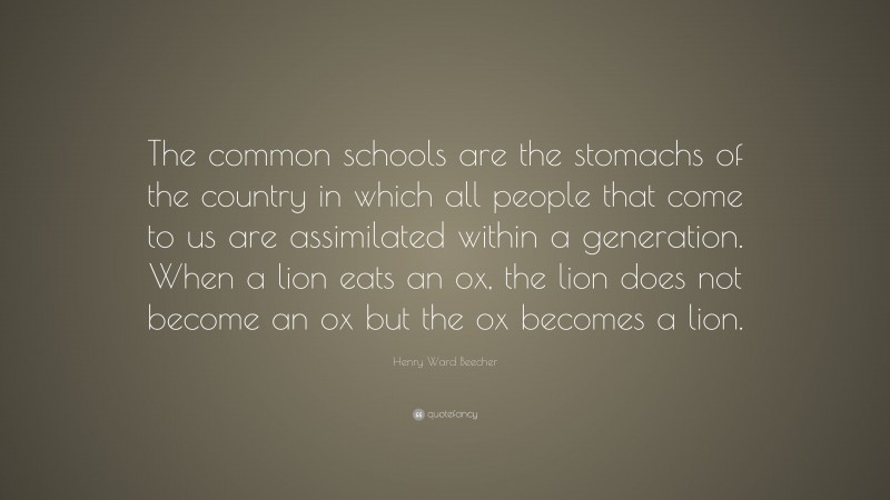 Henry Ward Beecher Quote: “The common schools are the stomachs of the country in which all people that come to us are assimilated within a generation. When a lion eats an ox, the lion does not become an ox but the ox becomes a lion.”
