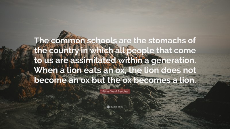 Henry Ward Beecher Quote: “The common schools are the stomachs of the country in which all people that come to us are assimilated within a generation. When a lion eats an ox, the lion does not become an ox but the ox becomes a lion.”