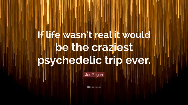 Joe Rogan Quote: “If life wasn’t real it would be the craziest psychedelic trip ever.”
