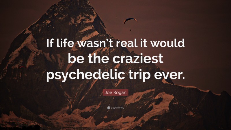 Joe Rogan Quote: “If life wasn’t real it would be the craziest psychedelic trip ever.”