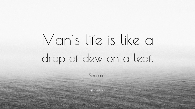 Socrates Quote: “Man’s life is like a drop of dew on a leaf.”