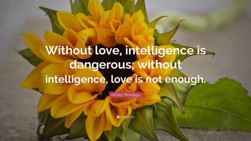 Ashley Montagu Quote: “Without love, intelligence is dangerous; without intelligence, love is not enough.”