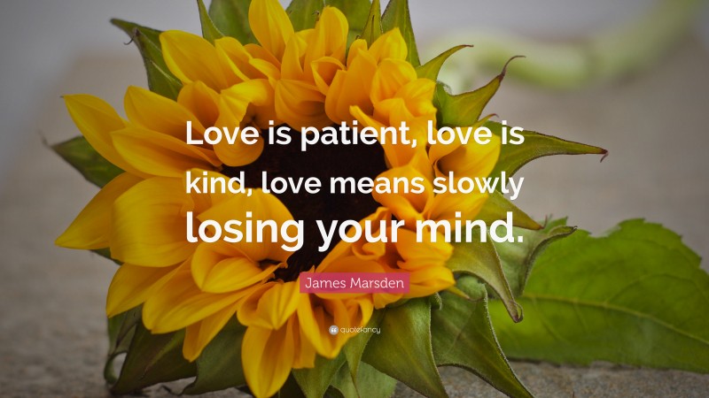 James Marsden Quote: “Love is patient, love is kind, love means slowly losing your mind.”