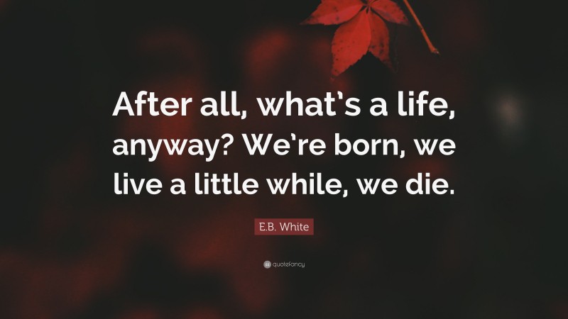 E.B. White Quote: “After all, what’s a life, anyway? We’re born, we live a little while, we die.”