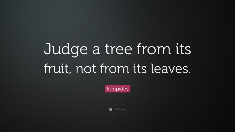 Euripides Quote: “Judge a tree from its fruit, not from its leaves.”