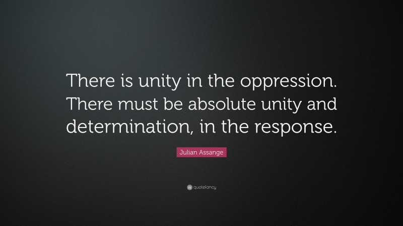 Julian Assange Quote: “There is unity in the oppression. There must be absolute unity and determination, in the response.”