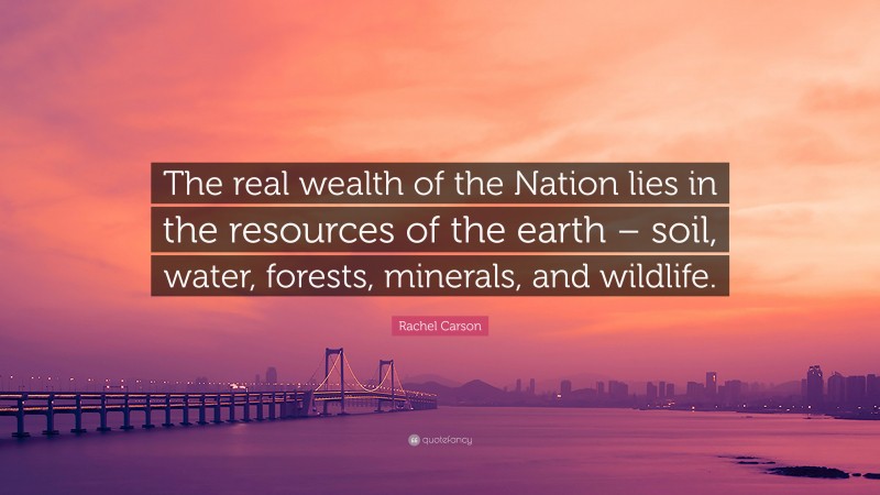 Rachel Carson Quote: “The real wealth of the Nation lies in the resources of the earth – soil, water, forests, minerals, and wildlife.”