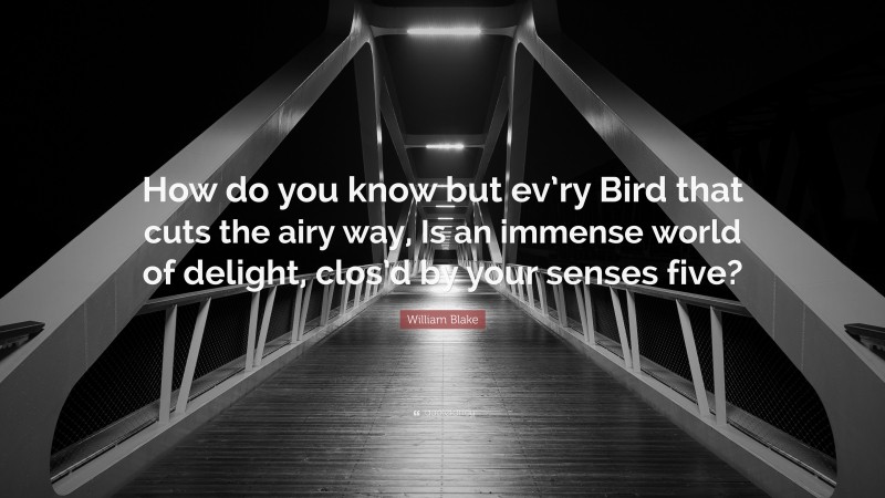 William Blake Quote: “How do you know but ev’ry Bird that cuts the airy way, Is an immense world of delight, clos’d by your senses five?”