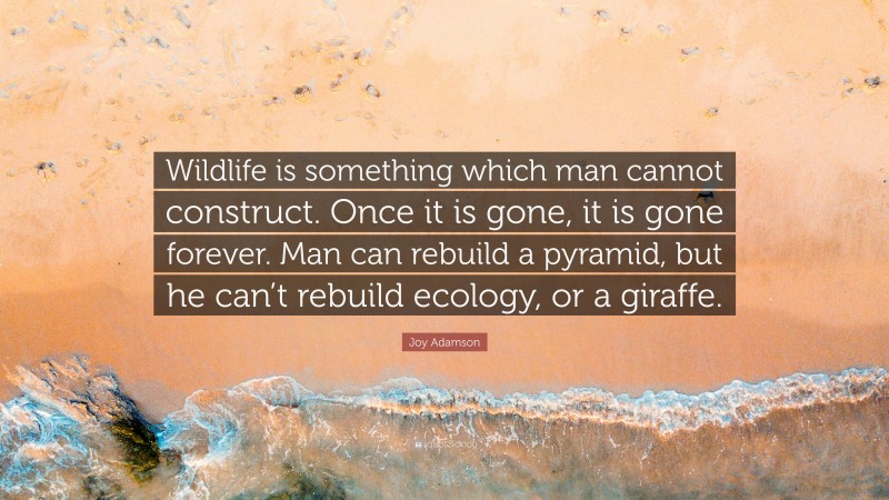 Joy Adamson Quote: “Wildlife is something which man cannot construct. Once it is gone, it is gone forever. Man can rebuild a pyramid, but he can’t rebuild ecology, or a giraffe.”
