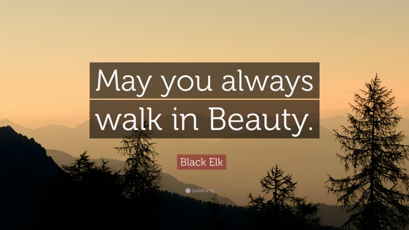 Black Elk Quote: “May you always walk in Beauty.”