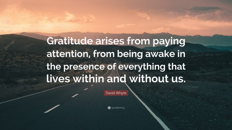 David Whyte Quote: “Gratitude arises from paying attention, from being awake in the presence of everything that lives within and without us.”