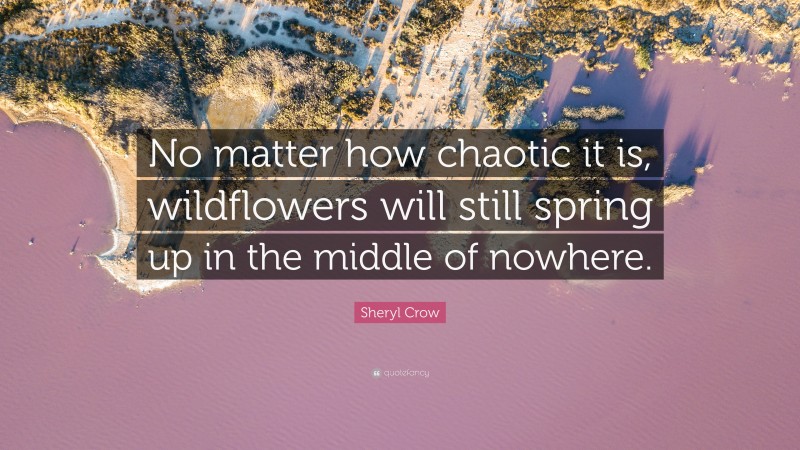 Sheryl Crow Quote: “No matter how chaotic it is, wildflowers will still spring up in the middle of nowhere.”