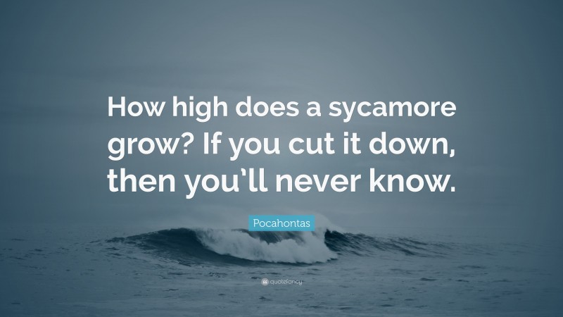Pocahontas Quote: “How high does a sycamore grow? If you cut it down, then you’ll never know.”